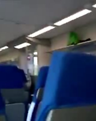 Public Blowjob in the Train